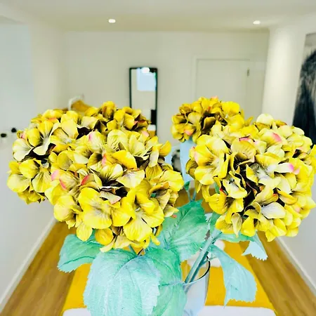 Luxury Flat, Perfect And Ideal For Tourists דירה
